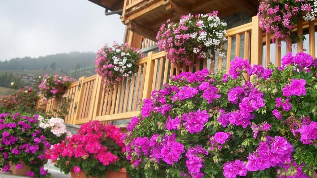 Gresil Residence Чамполук Екстериор снимка